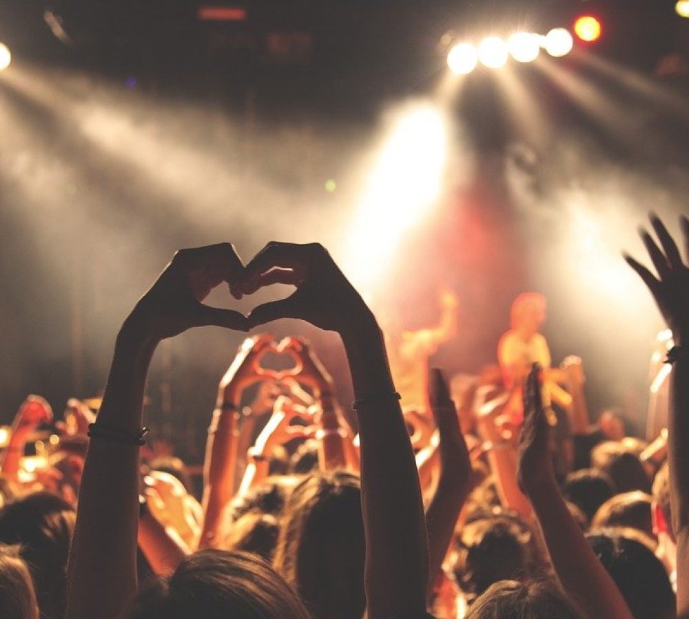 concert-hearing-protection